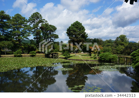A migrant Japanese garden in Tsuyama City, Okayama Prefecture "Towa paradise" 34442313