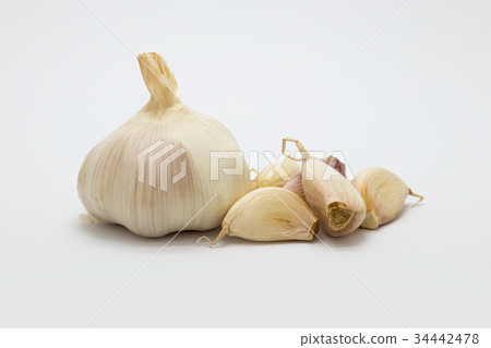 Fresh root garlic on white 34442478