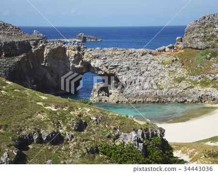 Ogasawara Islands South Island 34443036