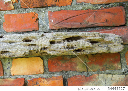Red brick wall, wall, red brick wall, wall, red brick wall, wall, Red brick wall, wall, red brick wall, wall, red brick wall, wall, 34443227