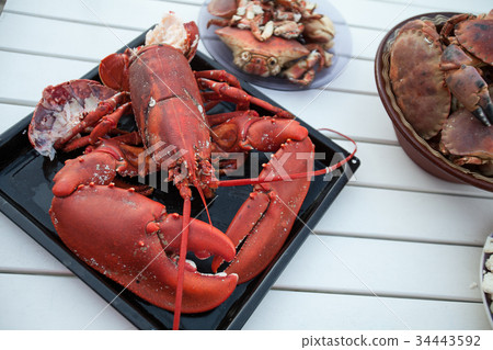 freshly cooked lobster lying on baking tray 34443592