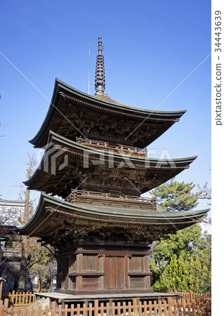 Shinano Kokubunji 34443639