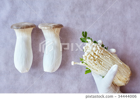 King Trumpet Mushrooms And Enokitake 34444006
