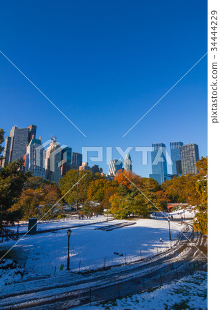 Fall Central Park, first snow 34444229