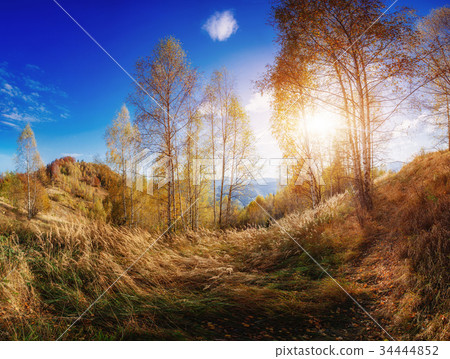 Landscape autumn park 34444852