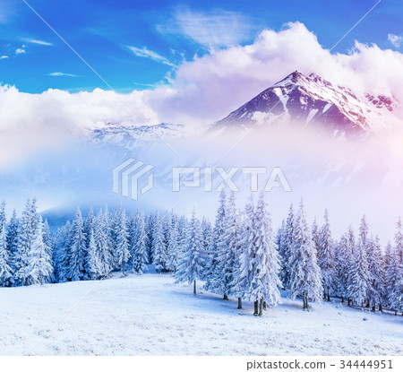 magical winter landscape 34444951