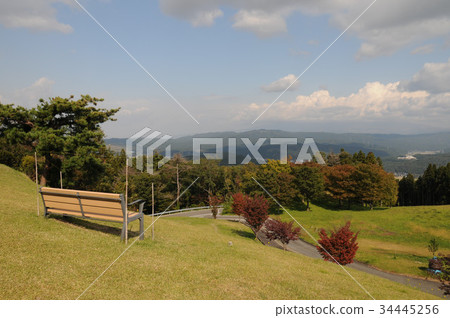 View from the bench 34445256