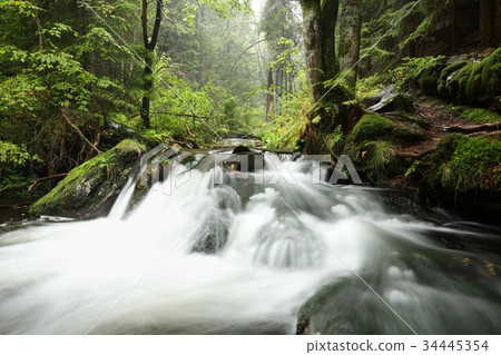 Forest stream flowing from the mountains Forest stream flowing from the mountains 34445354