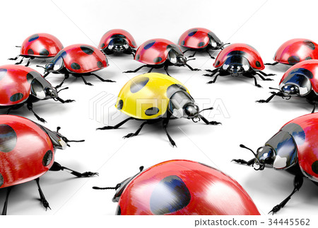 Yellow ladybug surrounded by group of red ladybugs 34445562