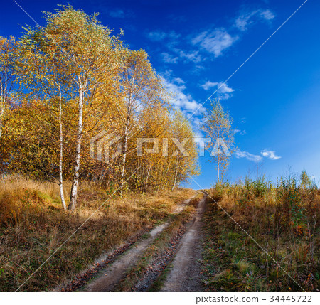 fairy autumn Landscape 34445722