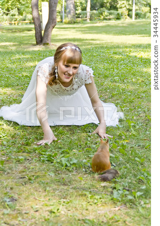 Bride in white lying on grass next to the squirrel Bride in white lying on grass next to the squirrel 34445934