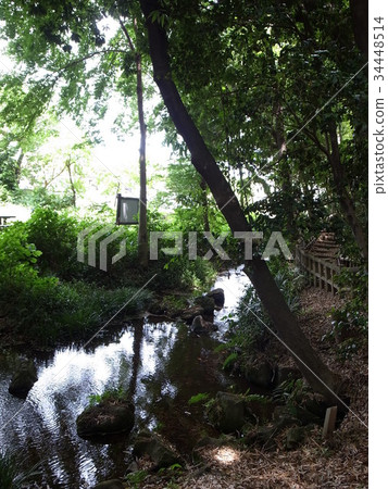 Bamboo Park Bamboo Park 34448514