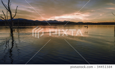 Aerial view of Lake Moogerah in Queensland Aerial view of Lake Moogerah in Queensland 34451384