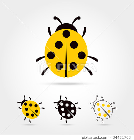 Illustration of the ladybug Illustration of the ladybug 34451703