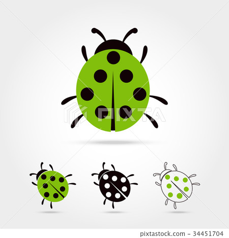 Illustration of the ladybug Illustration of the ladybug 34451704