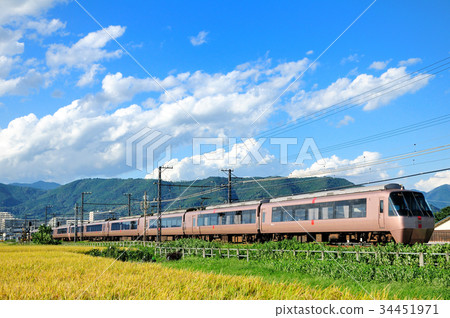 Odakyu romance car exe which goes to a rice field which is alive 34451971