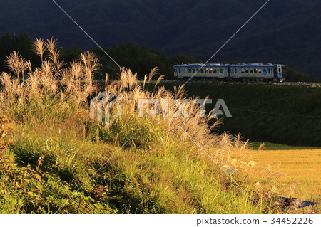 Autumn Koumi Line 34452226