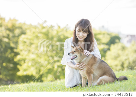 年輕女子和Shiba Inu 34453512