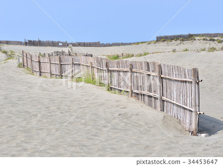 Nakatajima Sand Dune-188 574 34453647