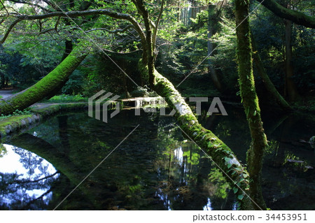 Yamabushi water source Yamabushi water source 34453951