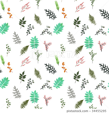 Tropical elements: Agonis, Eucalyptus, Annona 34455295