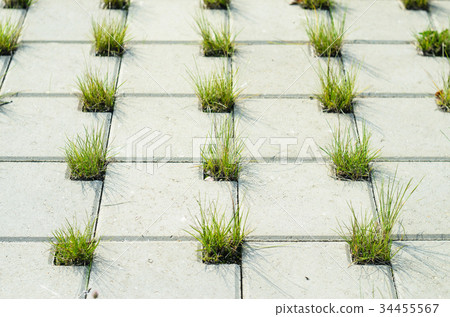 Paving Concrete Cobblestones with Holes for Grass Paving Concrete Cobblestones with Holes for Grass 34455567