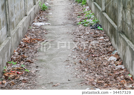 Concrete landscape walkway at have Dry leaf drop Concrete landscape walkway at have Dry leaf drop 34457329