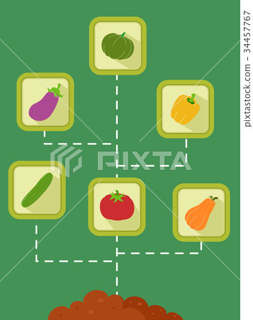 Soil Vegetables Fruits Illustration Soil Vegetables Fruits Illustration 34457767