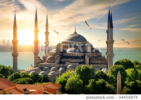Seagulls over Blue Mosque 34458874