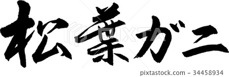 松葉蟹 松葉蟹 34458934