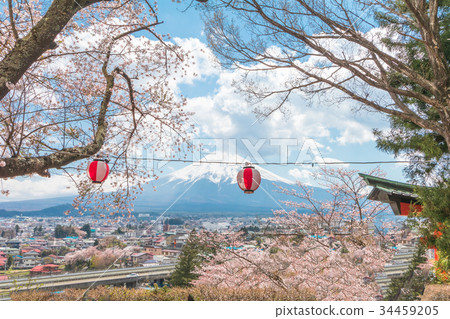 Cherry blossom sakura in spring season 34459205