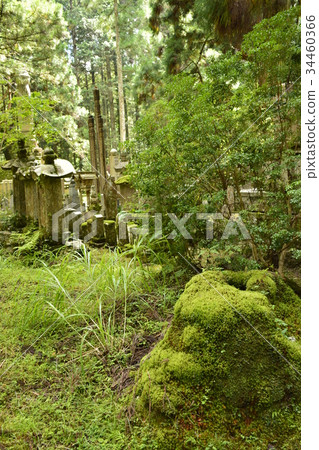 [Koyayama, Wakayama Prefecture] Sacred place of Okunoin approach 34460366