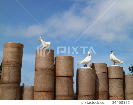 海岸 海岸 34460555