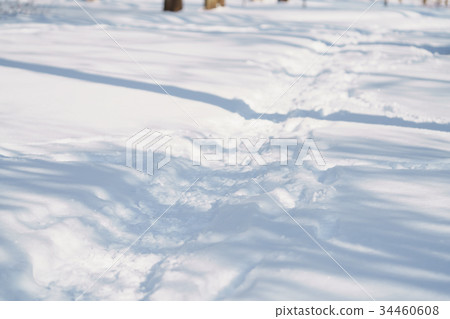 trodden town path in snow in the morning after 34460608