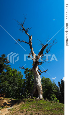 Beautiful mountain landscape of Sonamarg, Kashmir. 34460834