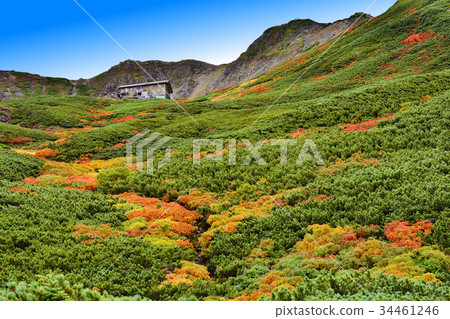 Senjo hut with autumn leaves 34461246