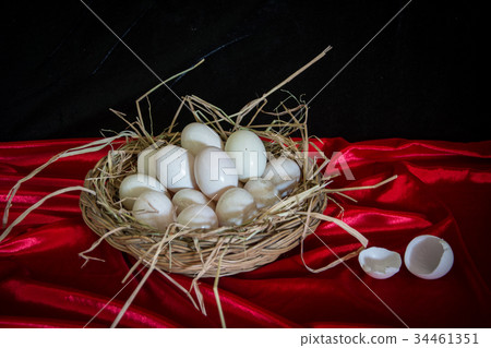 Egg filled with nutrients. Egg filled with nutrients. 34461351
