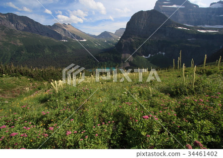 從Grignell冰川艱苦跋涉看的Beargrass和山 34461402