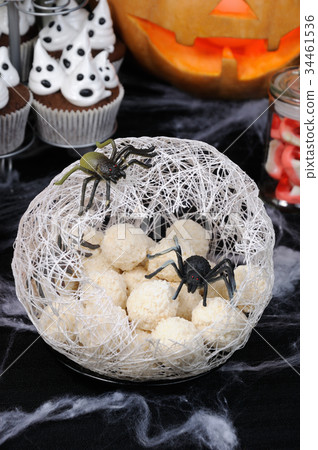 spider eggs in a cocoon 34461536