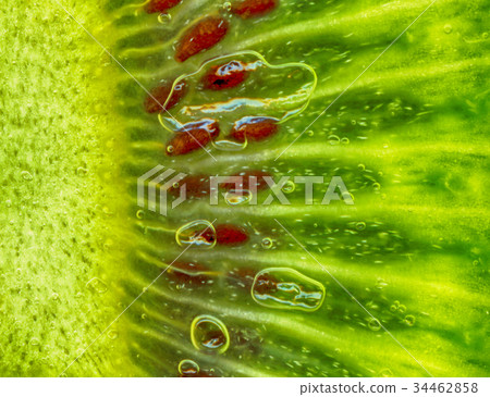 kiwi green background kiwi green background 34462858