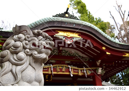 Shiba Inu and Shiori 34462912