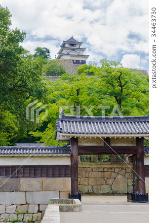 Kagawa Marugame Castle 34463730