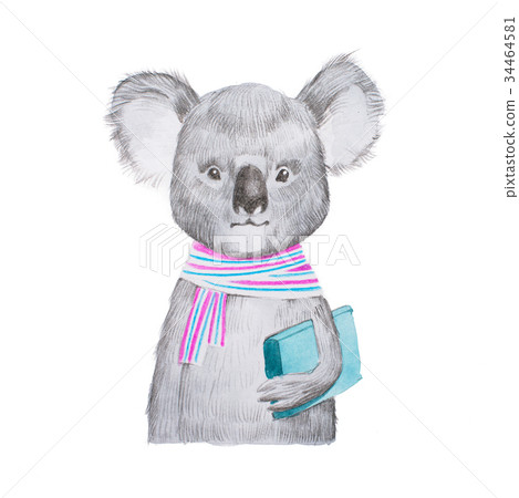 Portrait of cartoon smart koala wearing scarf and Portrait of cartoon smart koala wearing scarf and 34464581