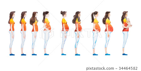 Cartoon illustration of pregnancy stages. Side Cartoon illustration of pregnancy stages. Side 34464582