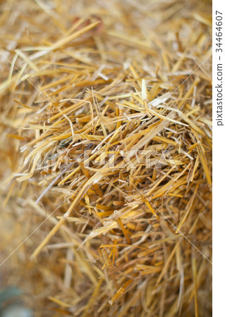 country lifestyle, background, environment concept 34464607