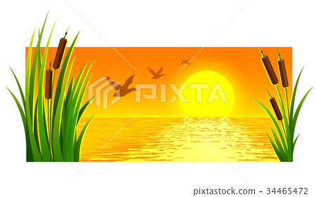 Landscape of sunset at lake with reeds Landscape of sunset at lake with reeds 34465472