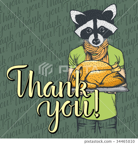 Vector illustration of Thanksgiving racoon concept 34465810