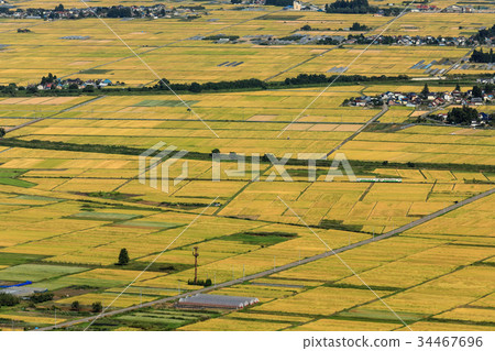 Tadami line which runs in the field of harvest Tadami line which runs in the field of harvest 34467696