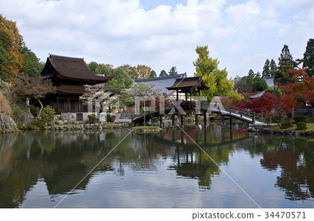 Autumn leaves of Torakeizan Eigaoji National Treasure Kannon-do and endless bridge 34470571