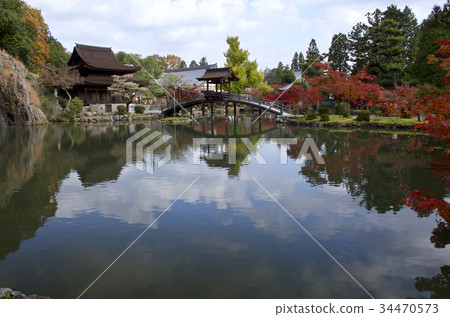 Torakeizan Eigaoji國家珍寶Kannon-do和無盡的橋樑秋葉 34470573